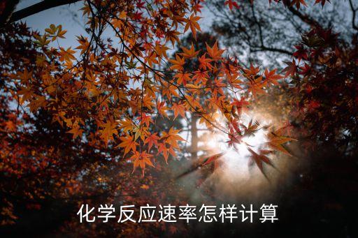 化學(xué)反應(yīng)速率怎樣計(jì)算