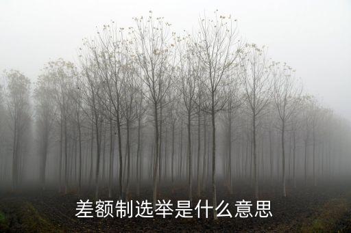 差額制選舉是什么意思