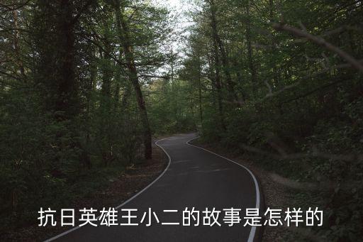 抗日英雄王小二的故事，小英雄王小二的故事