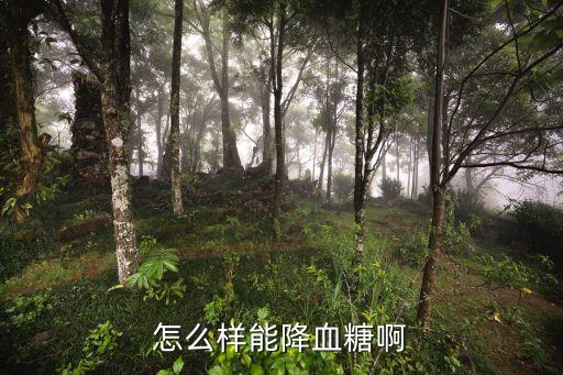 怎么樣能降血糖啊
