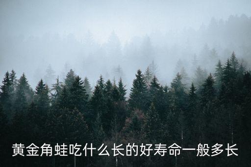黃金角蛙吃什么長的好壽命一般多長