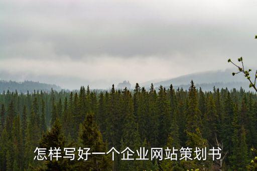 企業網站策劃書，企業網站建設策劃書該怎么寫