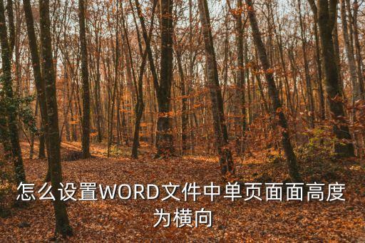 怎么設置WORD文件中單頁面面高度為橫向