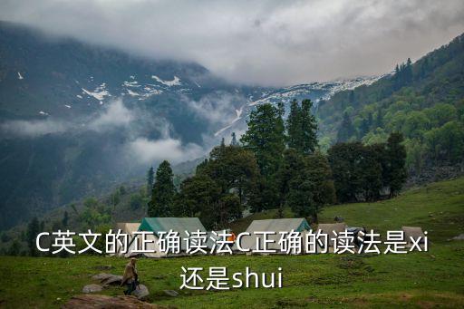 字母c，1美元上的字母c何意思