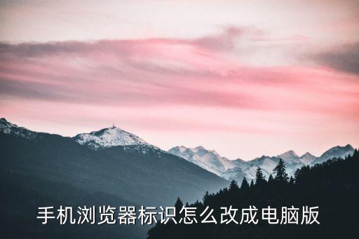 手機瀏覽器標識怎么改成電腦版