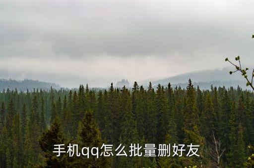 手機(jī)qq怎么批量刪好友