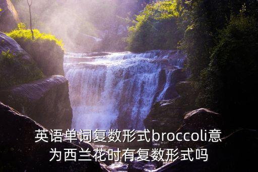 英語單詞復數形式broccoli意為西蘭花時有復數形式嗎
