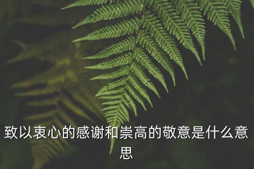 衷心的感謝，衷心的感謝的同義詞
