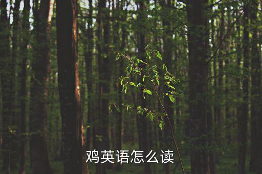 雞英語怎么讀