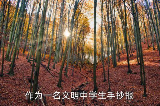 作為一名文明中學生手抄報