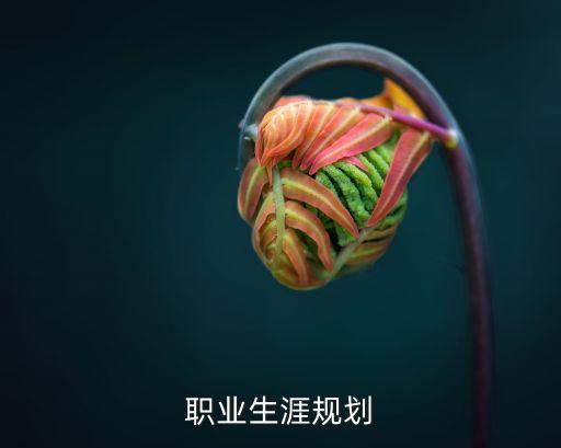 職業生涯規劃