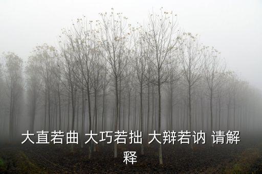 大直若曲 大巧若拙 大辯若訥 請解釋