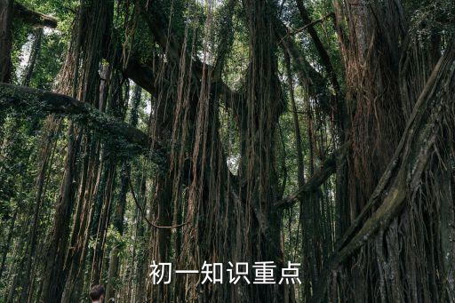 初一知識重點