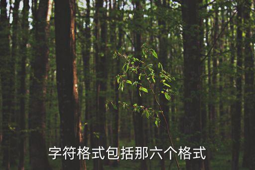字符格式包括那六個格式