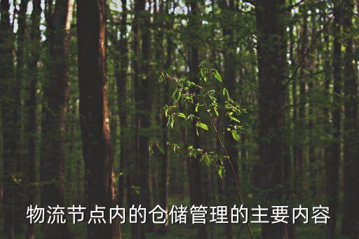 物流節點內的倉儲管理的主要內容