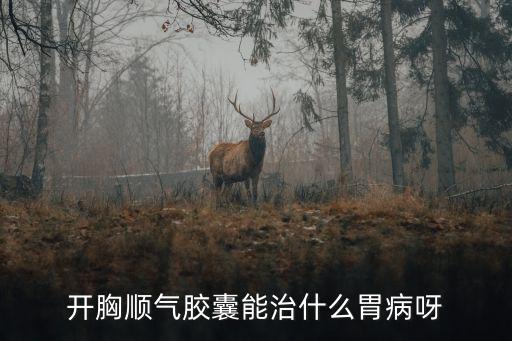 開(kāi)胸順氣膠囊，腸胃不適醫(yī)生說(shuō)是胃動(dòng)力不足用開(kāi)胸順氣膠囊可以嗎