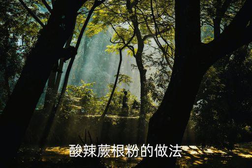 酸辣蕨根粉的做法
