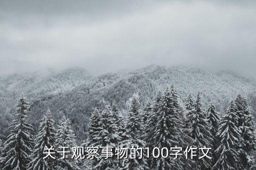 關于觀察事物的100字作文
