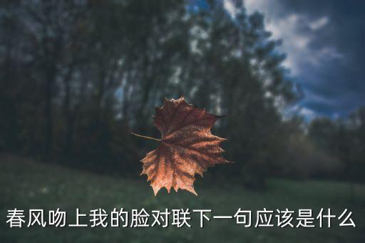 春風吻上我的臉對聯(lián)下一句應該是什么