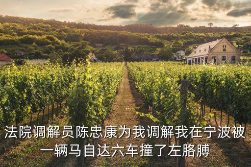 陳忠康，法院調(diào)解員陳忠康為我調(diào)解我在寧波被一輛馬自達(dá)六車撞了左胳膊