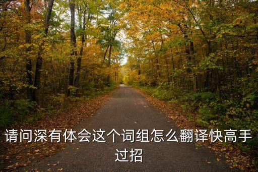 請(qǐng)問(wèn)深有體會(huì)這個(gè)詞組怎么翻譯快高手過(guò)招