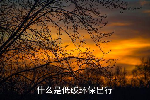 什么是低碳環保出行
