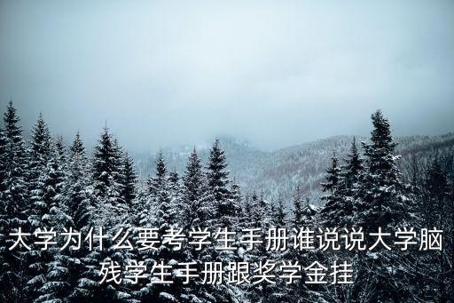 大學(xué)為什么要考學(xué)生手冊誰說說大學(xué)腦殘學(xué)生手冊跟獎學(xué)金掛