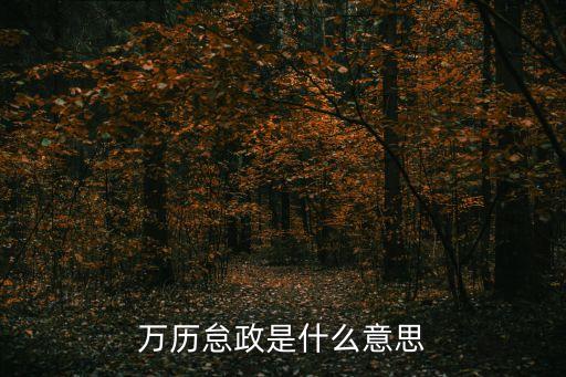 怠政，萬歷怠政是什么意思
