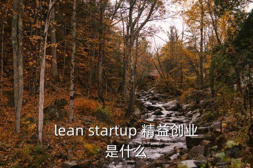 lean startup 精益創(chuàng)業(yè)是什么