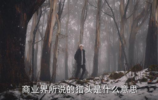  商業界所說的獵頭是什么意思