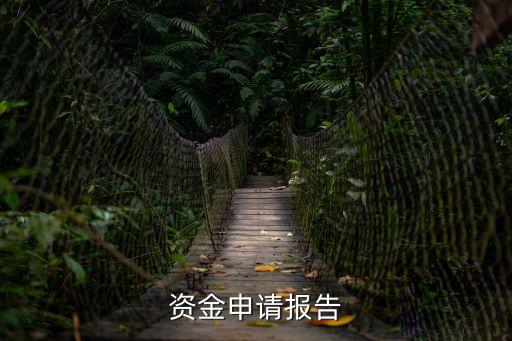 資金申請(qǐng)報(bào)告