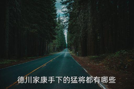 神原康政，信長野望里神原康政怎么玩