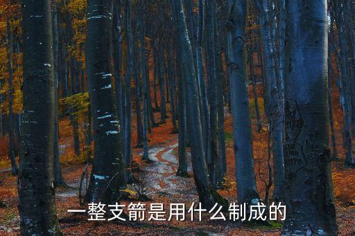 一整支箭是用什么制成的