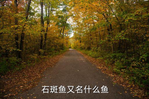 赤點石斑魚,石斑魚又名鰱魚屬硬骨魚目