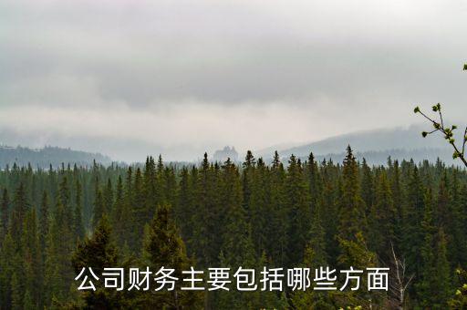 公司財務主要包括哪些方面