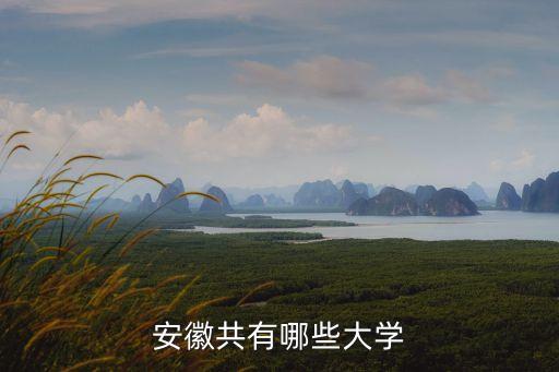 安徽高校，安徽有哪些大學