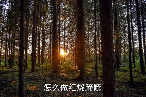 紅燒蹄髈，紅燒蹄髈怎么做