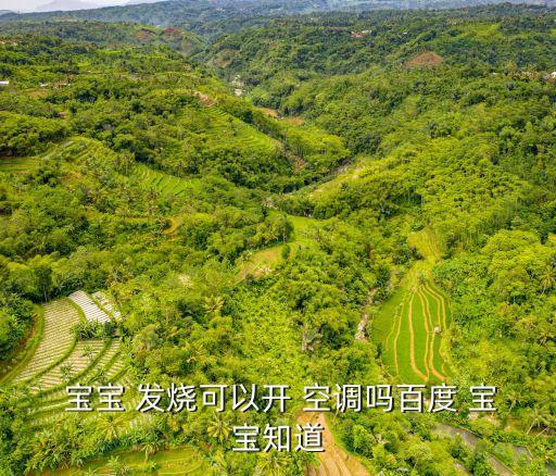  寶寶 發燒可以開 空調嗎百度 寶寶知道