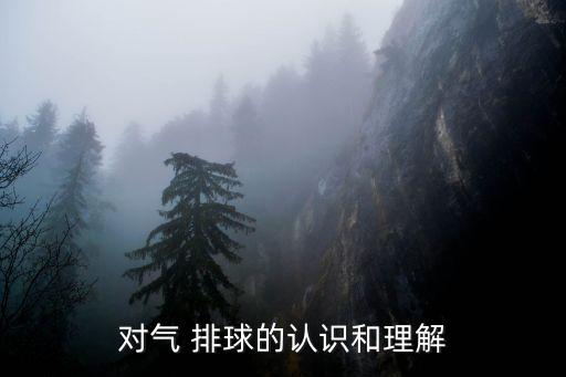 對氣 排球的認(rèn)識和理解