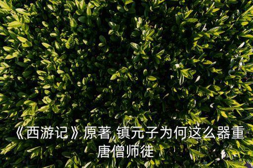 唐三藏圖片,原來是為了保護唐三去西天取經?