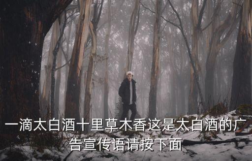 一滴太白酒十里草木香這是太白酒的廣告宣傳語請按下面