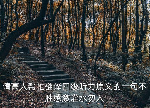 請高人幫忙翻譯四級聽力原文的一句不勝感激灌水勿入