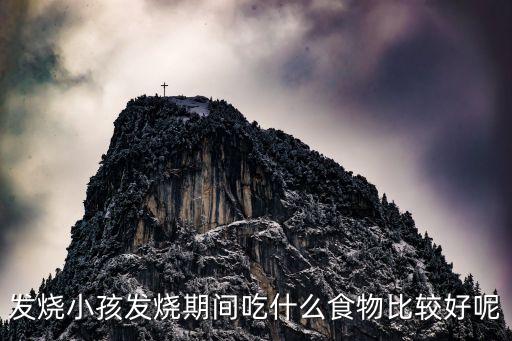 發燒小孩發燒期間吃什么食物比較好呢