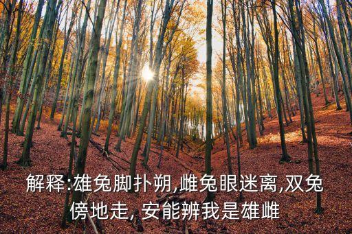 安能辨我是雌雄,古代漢語解釋安字有何差別?