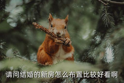 請問結婚的新房怎么布置比較好看啊