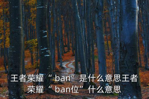 ban什么意思,四大重要提醒:避免游戲枯燥乏味