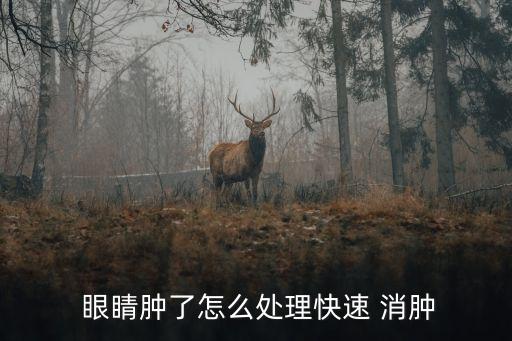  眼睛腫了怎么處理快速 消腫