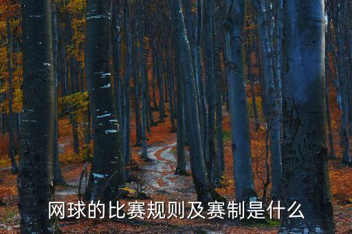 網球的比賽規則及賽制是什么