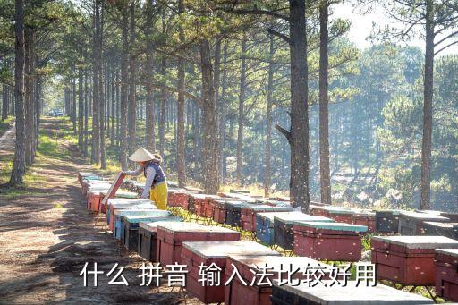 最好的拼音輸入法,拼音輸入法:能打繁體字和簡體字搜狗拼音