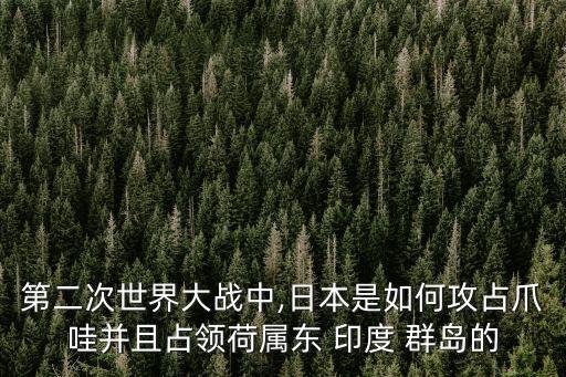 第二次世界大戰中,日本是如何攻占爪哇并且占領荷屬東 印度 群島的